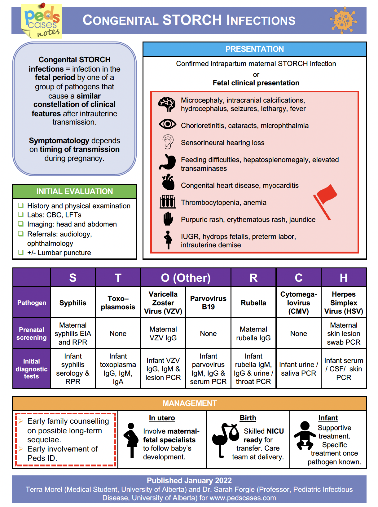 congenital-storch-infections-pedscases